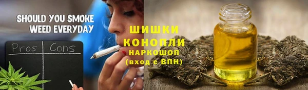 эйфоретик Аркадак