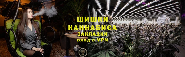 твердый Арсеньев