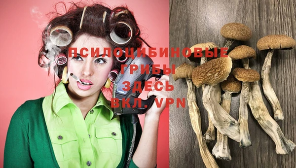 твердый Арсеньев