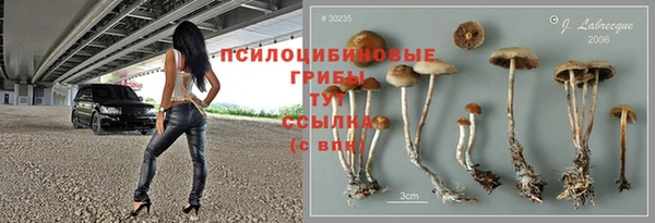 apvp Армянск