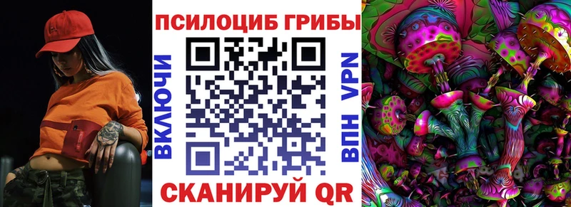 Галлюциногенные грибы мицелий  Малая Вишера 